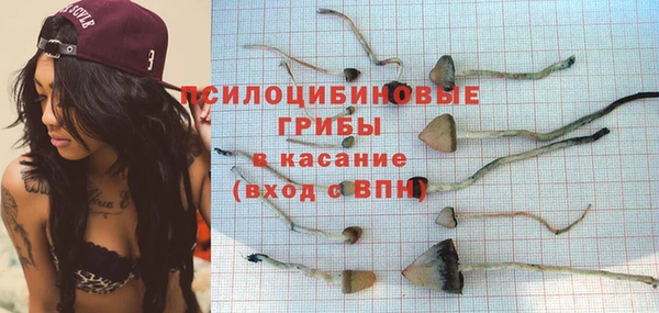тгк Алексин