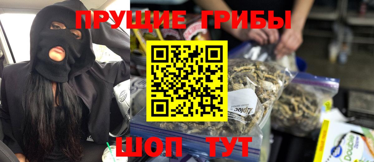 Крымск  где найти   Вход с VPN  Галлюциногенные грибы Psilocybe 